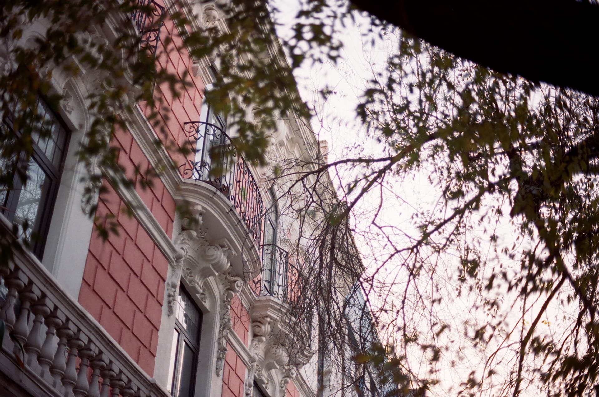 Fachada rosa con balcones entre las ramas