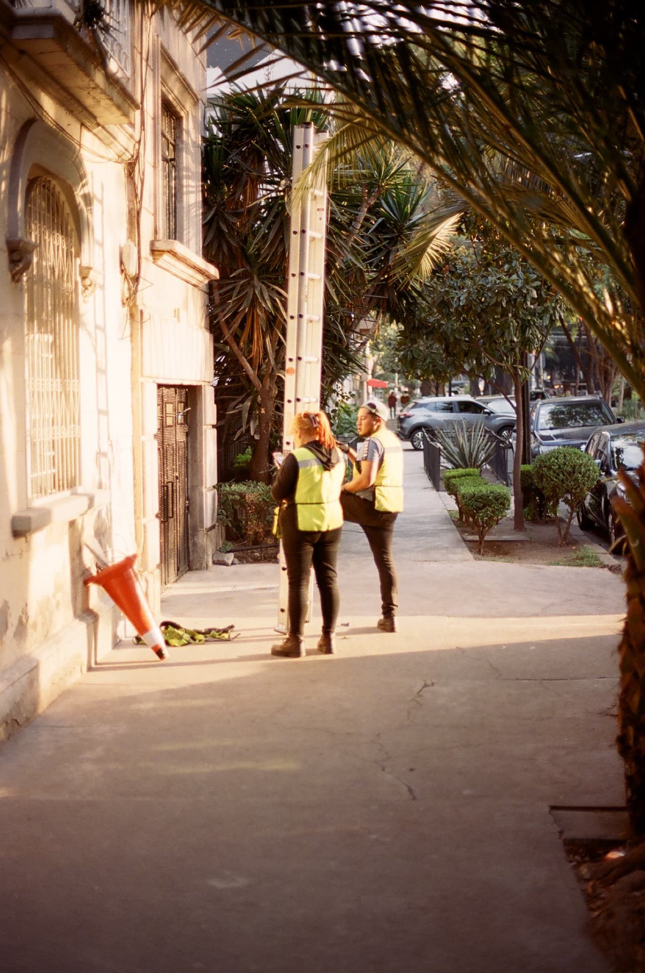 Trabajadores con chalecos reflectantes bajo las palmeras