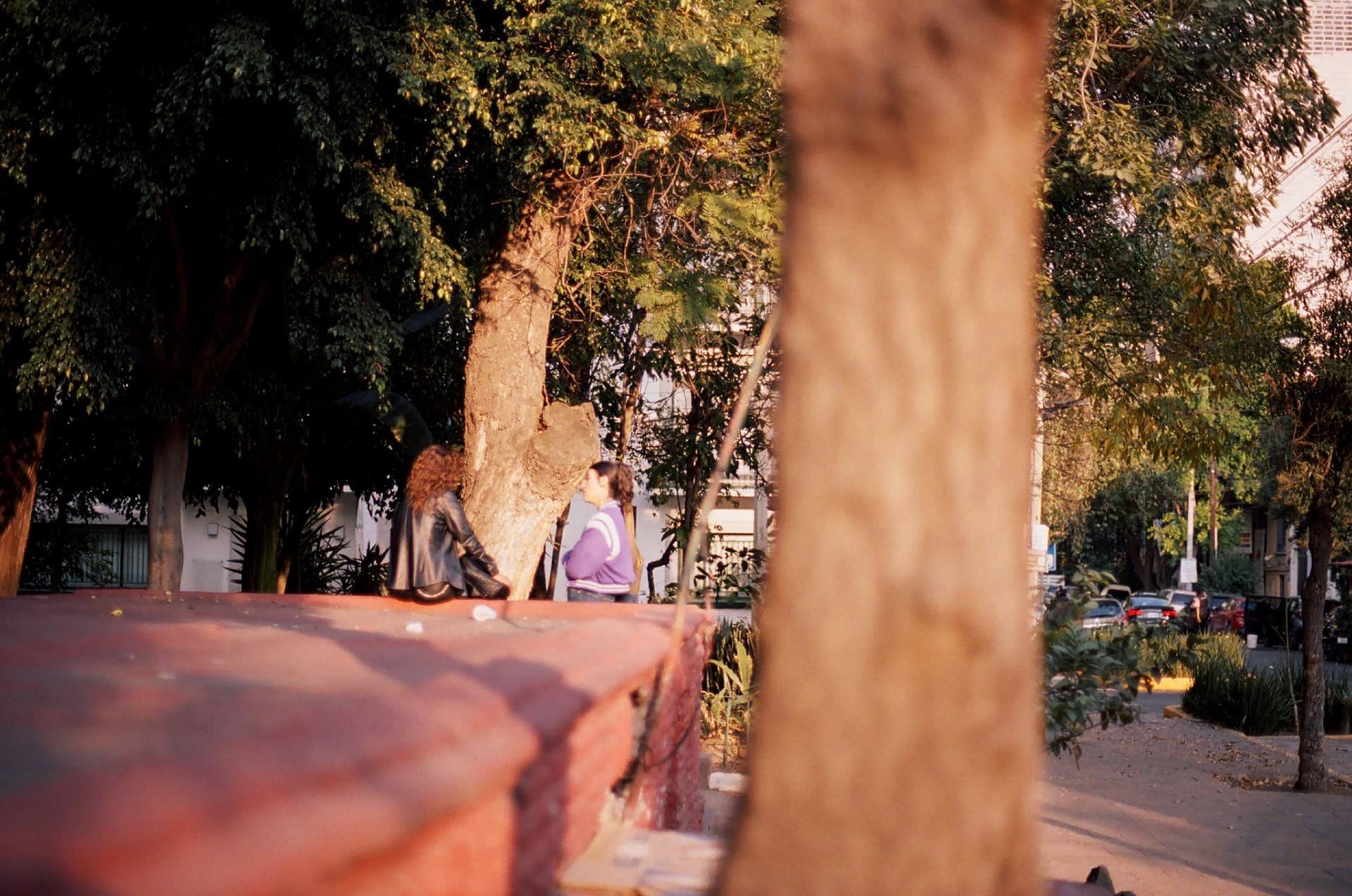 Dos personas conversan sentadas bajo un árbol
