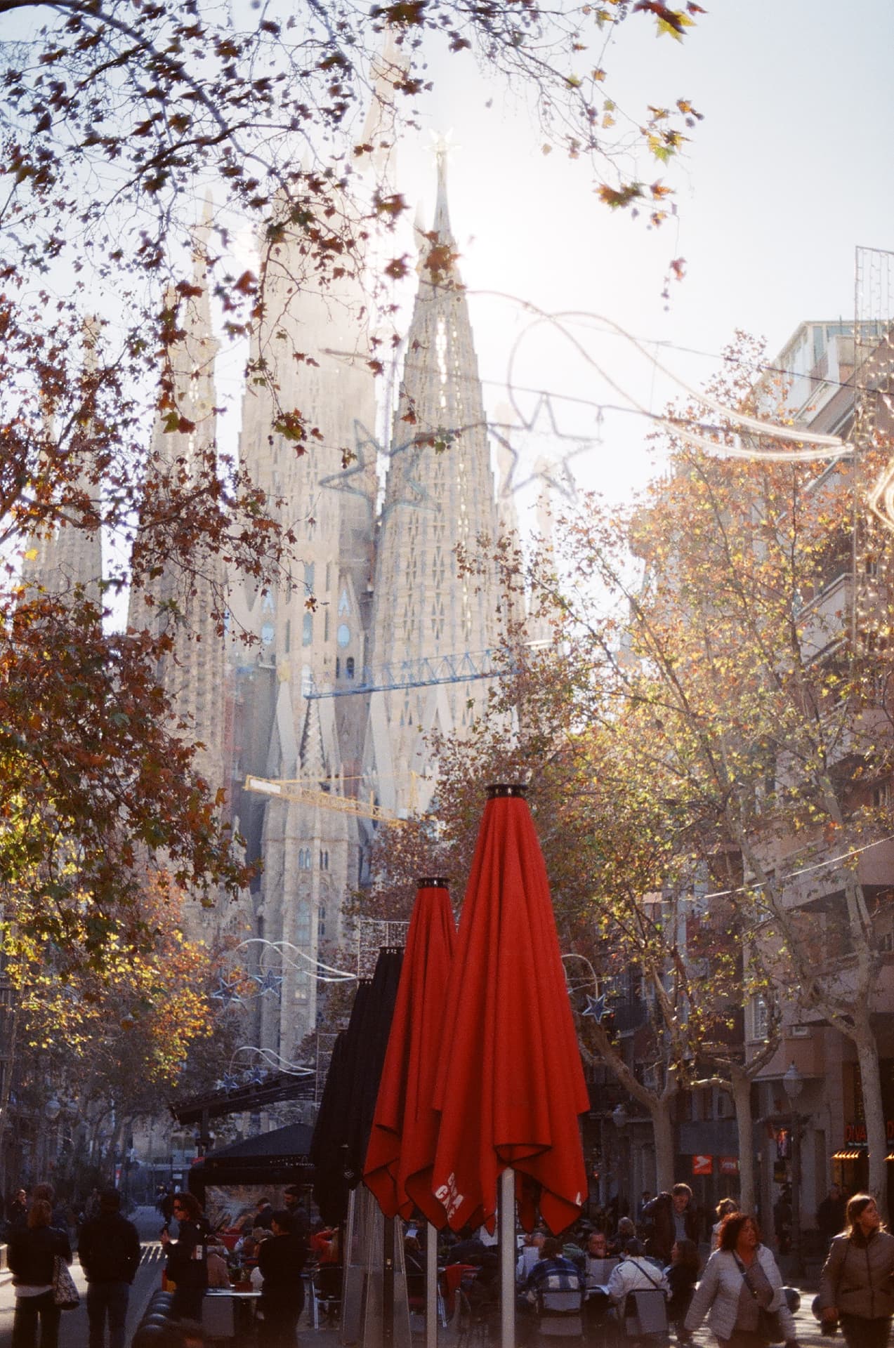 La Sagrada Familia entre árboles y sombrillas rojas