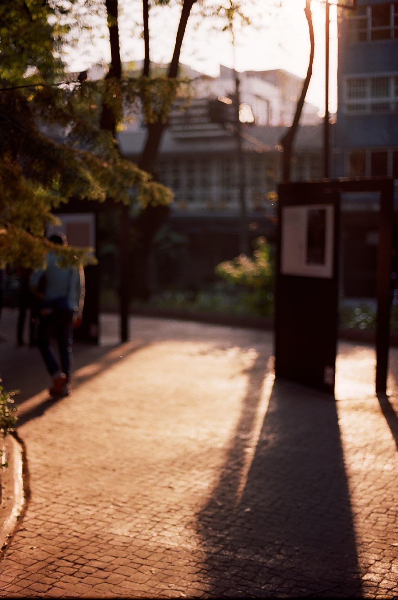Paseo peatonal a contraluz con luz de atardecer