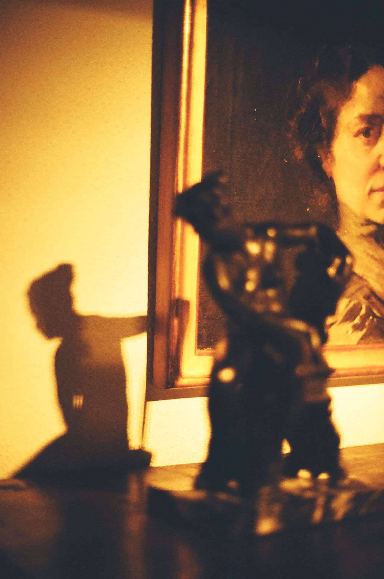 Figura y sombra frente a un retrato en un museo